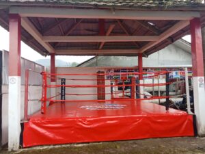 Tinju profesional mengema lagi Home