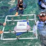 IPC TPK Gandeng Mitra Pelayaran Perkuat Konservasi Laut dan Ekosistem Pelabuhan Berkelanjutan